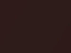 Nissan All Models Chestnut Metallic 2008 C50 - Scratch Repair