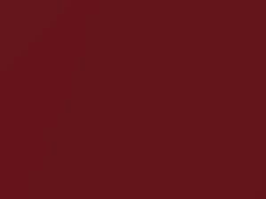 Nissan All Models Salsa Metallic 2001 AW8 - Scratch Repair