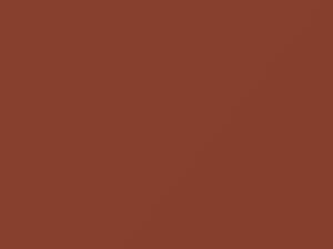 Chevrolet All Models Coral 1955 626, 627, 629 - Scratch Repair