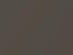 Honda Fit Mocha Metallic 2009 YR573M - Scratch Repair