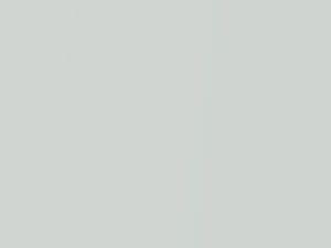Isuzu All Models Dolomite White Pearl 2021 575, W106P903-0, W106P9030