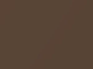 BMW Roadster Impala Brown Metallic 2000 418