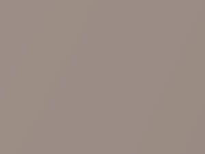 Nissan All Models French Beige Metallic 1986 029, 29 - Scratch Repair