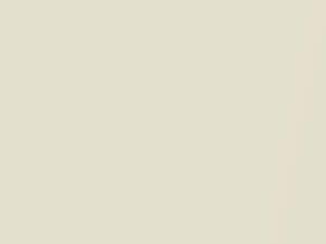 Nissan 300ZX Moonglow Pearl 1989 234 - Scratch Repair