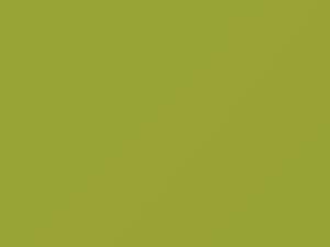 Mitsubishi All Models Light Yellow 2017 CMY10031, Y31