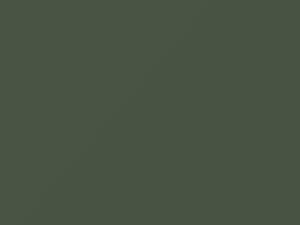 Fiat All Models Light Green 2007 309B, KGA, PGA