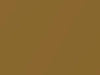Nissan All Models Gold Metallic 2018 EAP