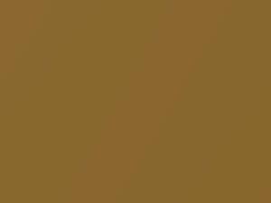 Nissan All Models Gold Metallic 2018 EAP - Scratch Repair