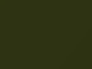 Jeep All Models Jungle Green 2016 094, 094A, 94, AY110PGU, PGU