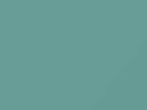 Fiat 500 Mint 2017 AY110PG2, PG2 - Scratch Repair