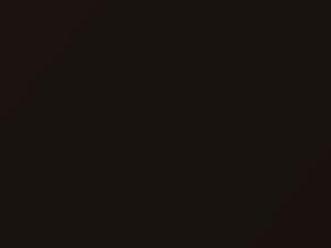 Audi A3 Saddle Brown Pearl 2003 FQ33-0004, LQ84, Q84