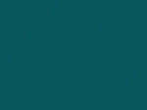 Fiat All Models Turquoise 2016 440, 440C