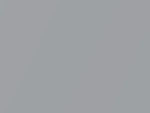 Smart All Models Cool Silver Metallic 2019 7261, ECP, ER2