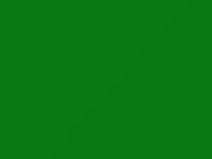 Chevrolet All Models Spitfire 2 2017 445B, GMV, WA445B - Scratch Repair