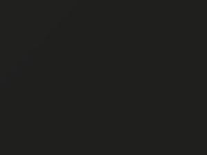 Mercedes-Benz Sprinter Asphaltgrau 2005 335, 7335