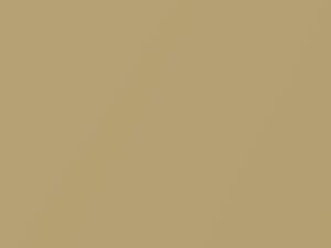 Suzuki All Models Pearl Metallic Helios Gold 2018 ZWE