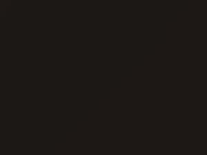 Suzuki All Models Urban Brown Pearl 2016 ZSF