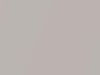 Toyota All Models Steel Blonde Metallic 2020 4X1