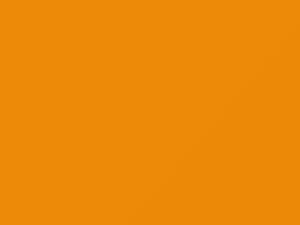 Dodge All Models Yellow Jacket 2021 AY110RY4, PY4, RY4 - Scratch Repair