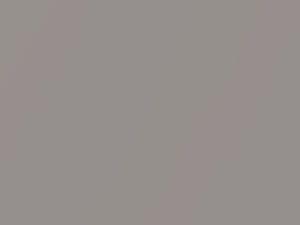 Toyota All Models Fluid Titanium Metallic 2018 1K1