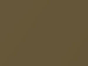 Nissan All Models Gold Metallic 2017 BEBC, EBC - Scratch Repair