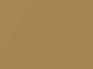 Nissan All Models Gold Beige Metallic 2016 HAJ - Scratch Repair