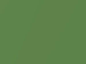 Subaru All Models Kiwi Green Pearl 2017 PAJ