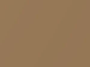 Rolls Royce All Models Antique Gold 2 Metallic 2016 P24