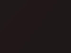 Kia Sorento Midnight Brown Metallic 2016 MN7