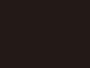 BMW X7 Pyritbraun Metallic 2019 X13