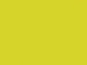 Toyota All Models Dynamic Yellow 2016 5B9