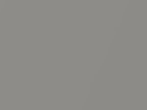 Daihatsu All Models Gray Metallic 2017 S42