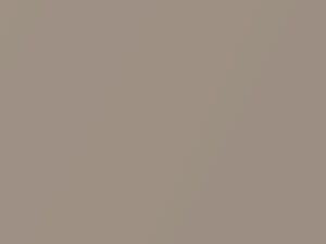 Nissan All Models Light Beige Metallic 2019 HAG - Scratch Repair