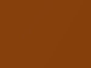 Nissan Rogue Monarch Orange Metallic 2019 BEBB, EBB - Scratch Repair