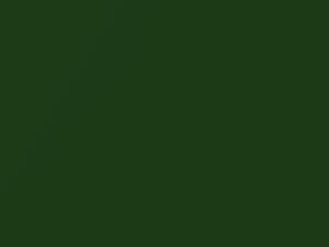 Audi A5 Sonoma Green Metallic 2019 LX6R, V4, V4V4, X6R