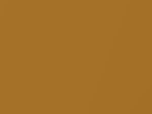 Porsche 911 Goldgelb Metallic 2017 5G, LM1P, M1P