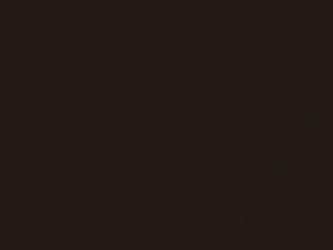 Porsche Panamera Ristrettobraun Metallic 2019 3L, LM8R, M8R - Scratch Repair