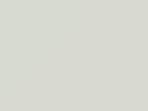 Fiat All Models Arctic White 2019 163, 163C, 5CB, A4D, PWE, RWE
