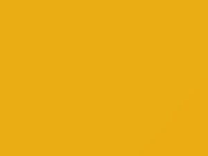 Subaru All Models Charlesite Yellow 2017 NAD