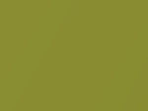 Nissan All Models Greenish Yellow Metallic 2021 EBA