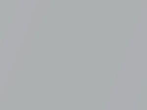 Chevrolet All Models Iron Silver Metallic 2017 542B, WA542B