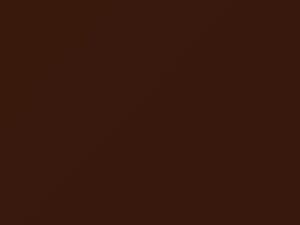 Mini All Models Chestnut 2020 C1V