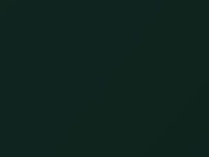 Audi SQ5 Azores Green Metallic 2019 6G, 6G6G, LX6S, X6S