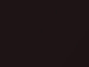 Kia All Models Siena Brown Metallic 2017 SEN