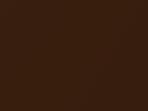 BMW 3 Series Chestnut Bronze Metallic 2018 C29