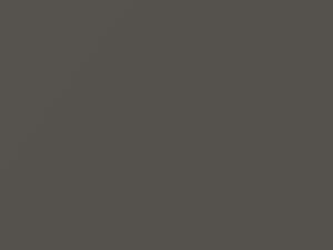 BMW 1 Series Platinum Silver Metallic 2015 C08