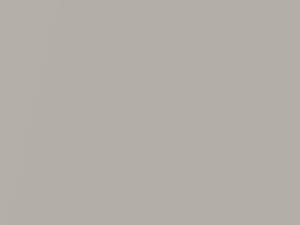 Chrysler All Models Cement White Metallic 2021 AY112PW2, PW2