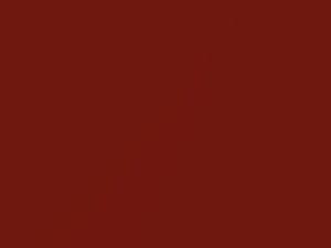 BMW All Models Frozen Red II Metallic Matte/Frozen Red II Metallic Matte - Low Gloss 2018 490, P5E