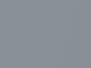 Ford Fiesta Silver Fox Pearl 2019 763, JKK, JQQ, JQQL, JQQLXWA - Scratch Repair