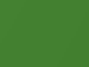 Mercedes-Benz Gt Amg Green Hell Magno Matte 2020 376, 6376